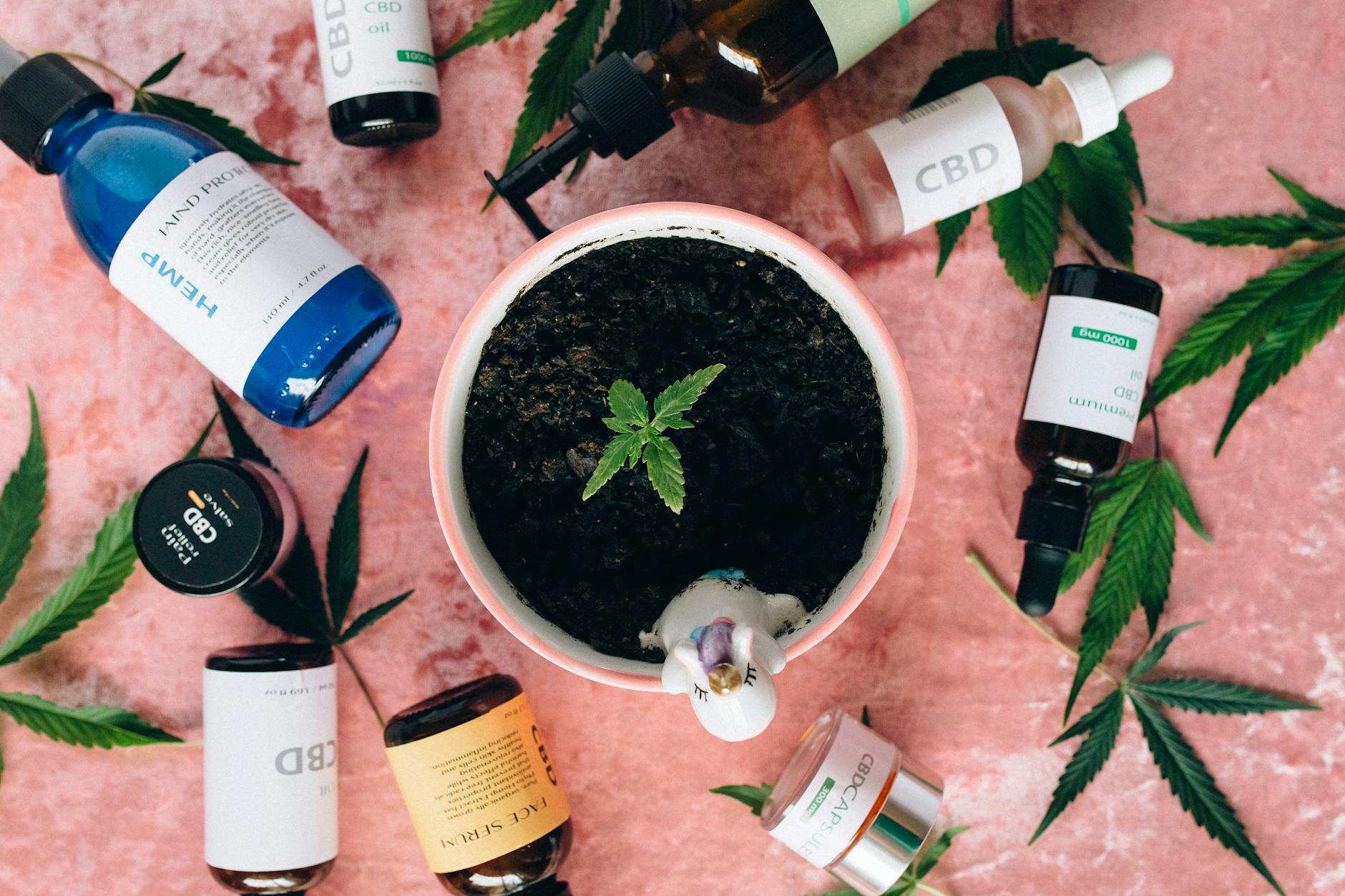 Holistic Approach